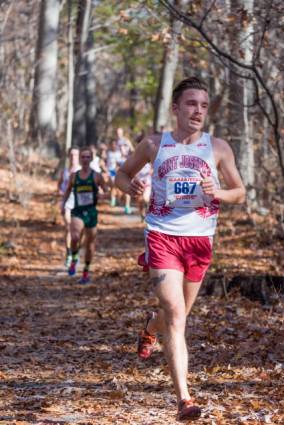 WFSIVBAVFWHALMU.20161121161116